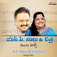 S.P. Balu And Chithra Telugu Hits songs mp3