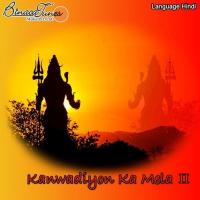 Inki Chaahat Wa Bhai Wa Baljeet Diwana Song Download Mp3