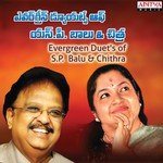 Swapnavevedo (From "Ravoyi Chandamama") S.P. Balasubrahmanyam,K. S. Chithra Song Download Mp3