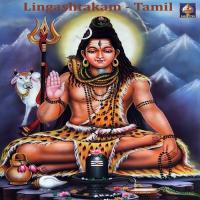 Lingashtakam - Tamil T.S. Ranganathan Song Download Mp3