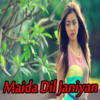 Maida Dil Janiyan songs mp3