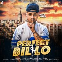 Perfect Billo Parth Sarthi Song Download Mp3