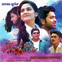 Kannil Kannonnu Vineeth Sreenivasan,Haritha Balakrishnan Song Download Mp3