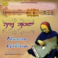 Naam Gehna Bibi Kulwinder Kaur Song Download Mp3