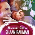 Romantic Hits Of Shaan Rahman songs mp3