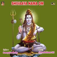 Shivaaya Nama Om songs mp3