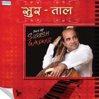 Jhan Jhananana Chedilya Tara (From "Haldi Kunku") Suresh Wadkar Song Download Mp3