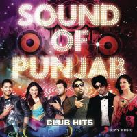 Sounds Of Punjab - Club Hits songs mp3