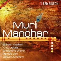 Radhe Krishna Sivalutchmie Naidoo Song Download Mp3