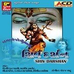 Darshan Dejo Re Mahadevji Bipin Sathiya,Meena Patel Song Download Mp3