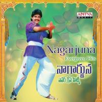 Nagarjuna Evergreen Hits songs mp3