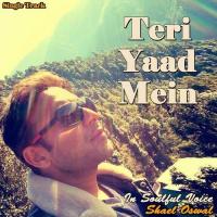 Teri Yaad Mein Shael Oswal Song Download Mp3