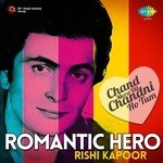 Meri Qismat Men Tu Nahin Shayad (From "Prem Rog") Rishi Kapoor Song Download Mp3