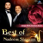 Hasraten Hai Bahut Magar - JB Kumar Sanu,Sadhana Sargam Song Download Mp3