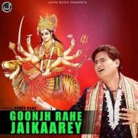 Goonjh Rahe Jaikaarey songs mp3