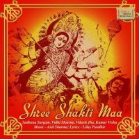 Shree Shakti Bhawani Vidhi Sharma Song Download Mp3
