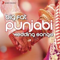Big Fat Punjabi Wedding Songs songs mp3