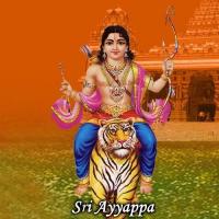 Swami Sharanam Endaga Puttur Narasimha Nayak Song Download Mp3