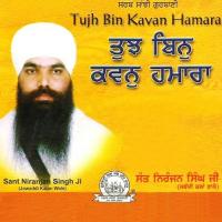 Tujh Bin Kasvan Hamara songs mp3