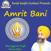 Amrit Bani songs mp3