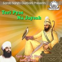 Mann Merey Kartey Nu Salahey Sant Anup Singh Ji (Una Sahib Wale) Song Download Mp3