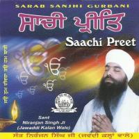 Sabh Kich Tu Hai Sant Niranjan Singh Jabaddi Wale Song Download Mp3