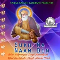 Sukh Na Naam Bin songs mp3