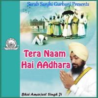 Tera Naam Hai Adhara songs mp3