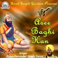 Asee Baghi Han songs mp3