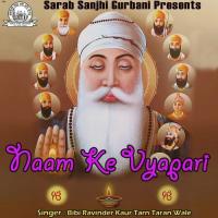 Naam Ke Vyapari songs mp3