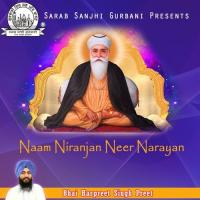 Naam Niranjan Neer Narayan songs mp3