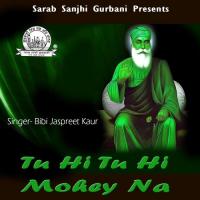 Tu Hi Tu Hi Mohey Na songs mp3