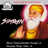 Simran Bhai Rajinderpal Singh Ji Khalsa Raju Veer Ji Song Download Mp3