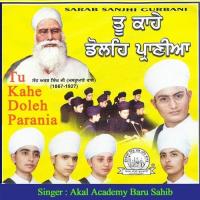 Pae Gahe Jab Te Tumrey Akal Academy Baru Sahib Song Download Mp3