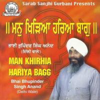 Man Khirhia Hariya Bagg songs mp3