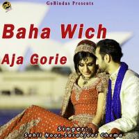 Lagda Ni Chit Mera Sahil Noor,Sarabjeet Chema Song Download Mp3