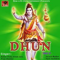 Dhun Vol. 2 songs mp3