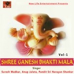Ganesh 108 Naamavali Suresh Wadkar,Anup Jalota,Pandit Sri Narayan Shankar Song Download Mp3