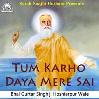 Tum Karho Daya Mere Sai songs mp3