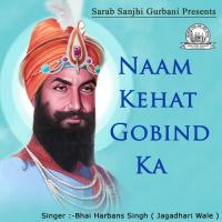 Lal Rang Tis Ko Laga Bhai Harbans Singh Jagadhari Wale Song Download Mp3