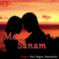 Ae Mere Dil Bata Shiv Nigam,Meenakshi Song Download Mp3
