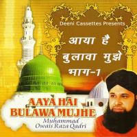 Likh Raha Hoon Naat Muhammad Owais Raza Qadri Song Download Mp3
