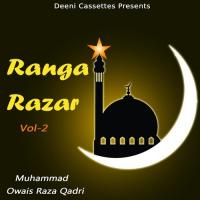 Ya Ilahi Har Jagah Teri Muhammad Owais Raza Qadri Song Download Mp3
