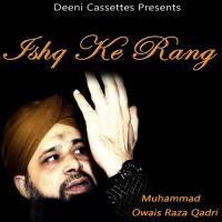 Mujhe Dar Pe Phir Bulana Muhammad Owais Raza Qadri Song Download Mp3