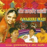 Sun Meri Maina Reena Parveen,Gulfam,Sonu Song Download Mp3