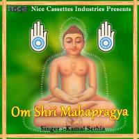 Om Shri Mahapragya songs mp3