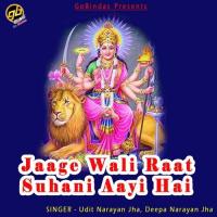 Jaage Wali Raat Suhani Aayi Hai Udit Narayan,Deepa Narayan Jha Song Download Mp3