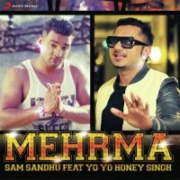 Mehrma Sam Sandhu,Sam Sandhu Feat. Yo Yo Honey Singh Song Download Mp3