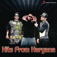 Chillao (From "Love Haryana") S.B. The Haryanvi Feat. Bhinda Aujla Song Download Mp3