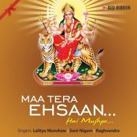 Tere Bagha Da Banu Mor Raghvendra Song Download Mp3